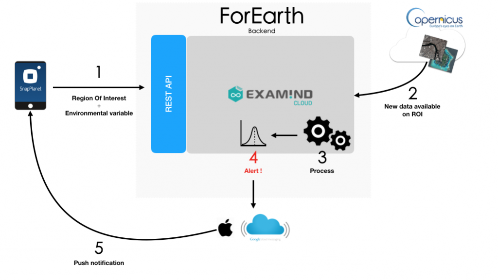 ForEarth architecture2